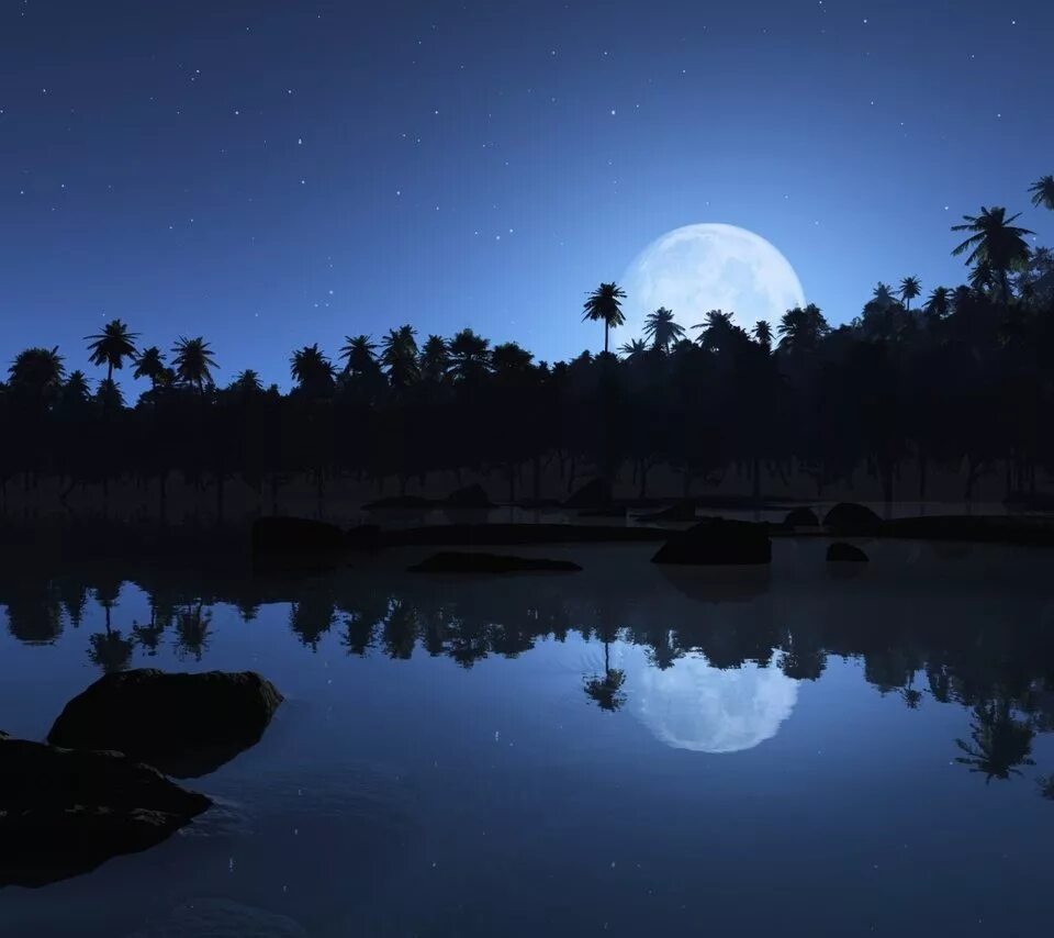 Отражение Луны. Ночная природа с луной. Пальмы небо ночь. Летняя ночь фон.