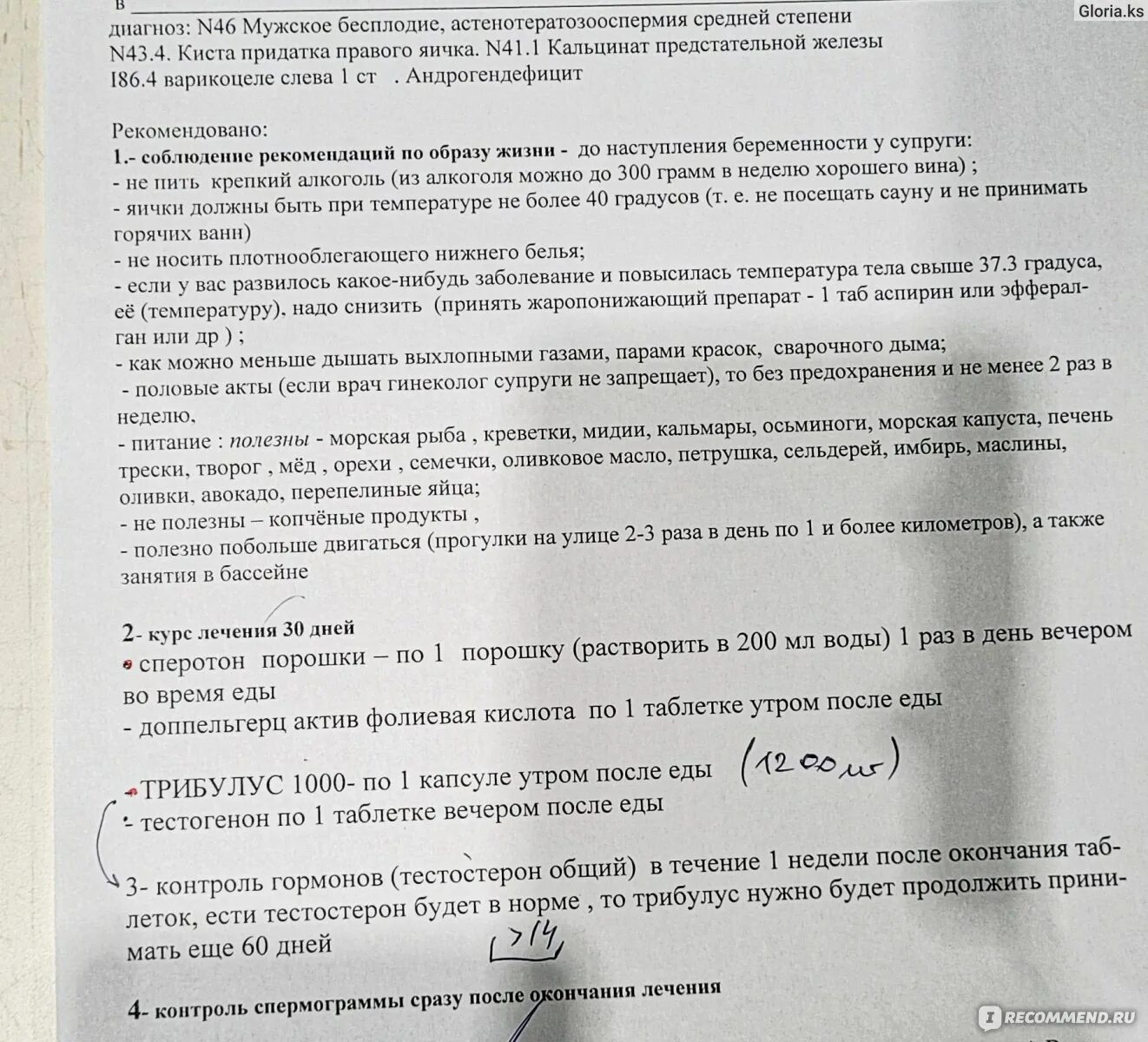 Сколько воздержание перед эко. Сколько воздержание перед эко