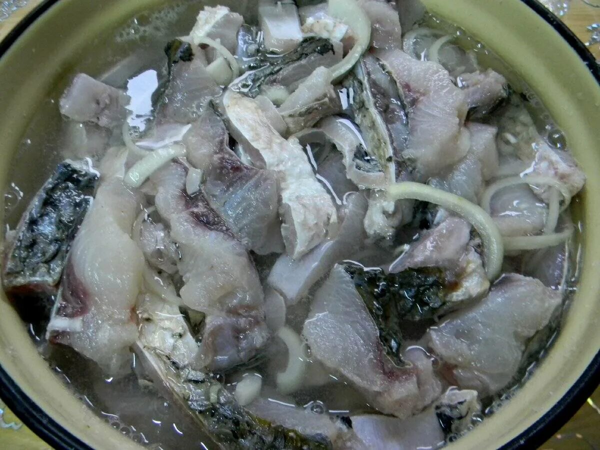 Посол рыбы скумбрии в рассоле. Скумбрия в рассоле кусочками. Блюда из толстолобика. Сельдь пресервы. Сазан маринованный.
