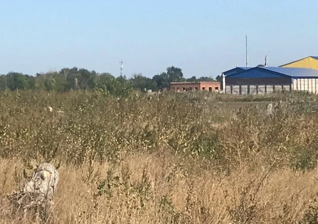 Село Пешково Ростовская область. Село Пешково Азовского района Ростовской области. Головатовка Ростовская область. Головатовка Азовский район.