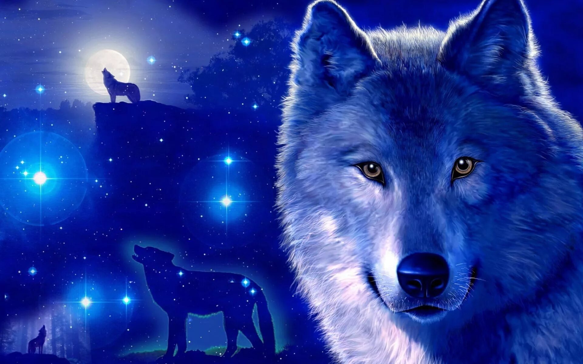 Волков про телефон. Волк. Волк картинка. Волк обои. Волк на синем фоне.