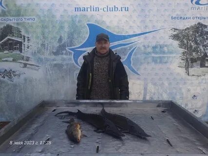 Русфишинг форум марлин