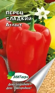Перец атлант