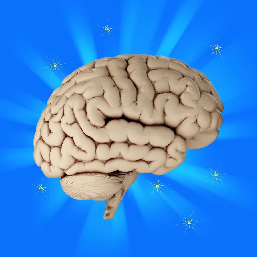 Brain disorder. Мозг картина. Мозг живопись. Картина мозги. Картина мозга человека.