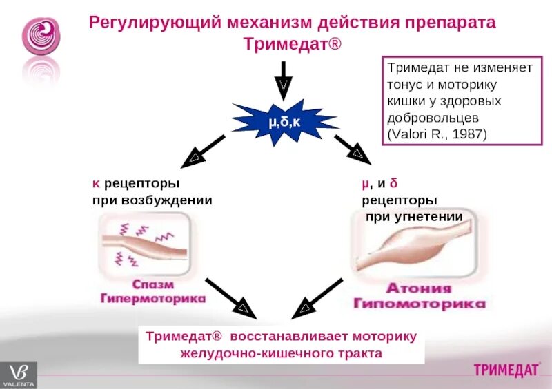 Механизм действия препаратов. Тримедат. Тримедат механизм действия презентация. Тримедат таблетки. Можно тримедат и омез вместе