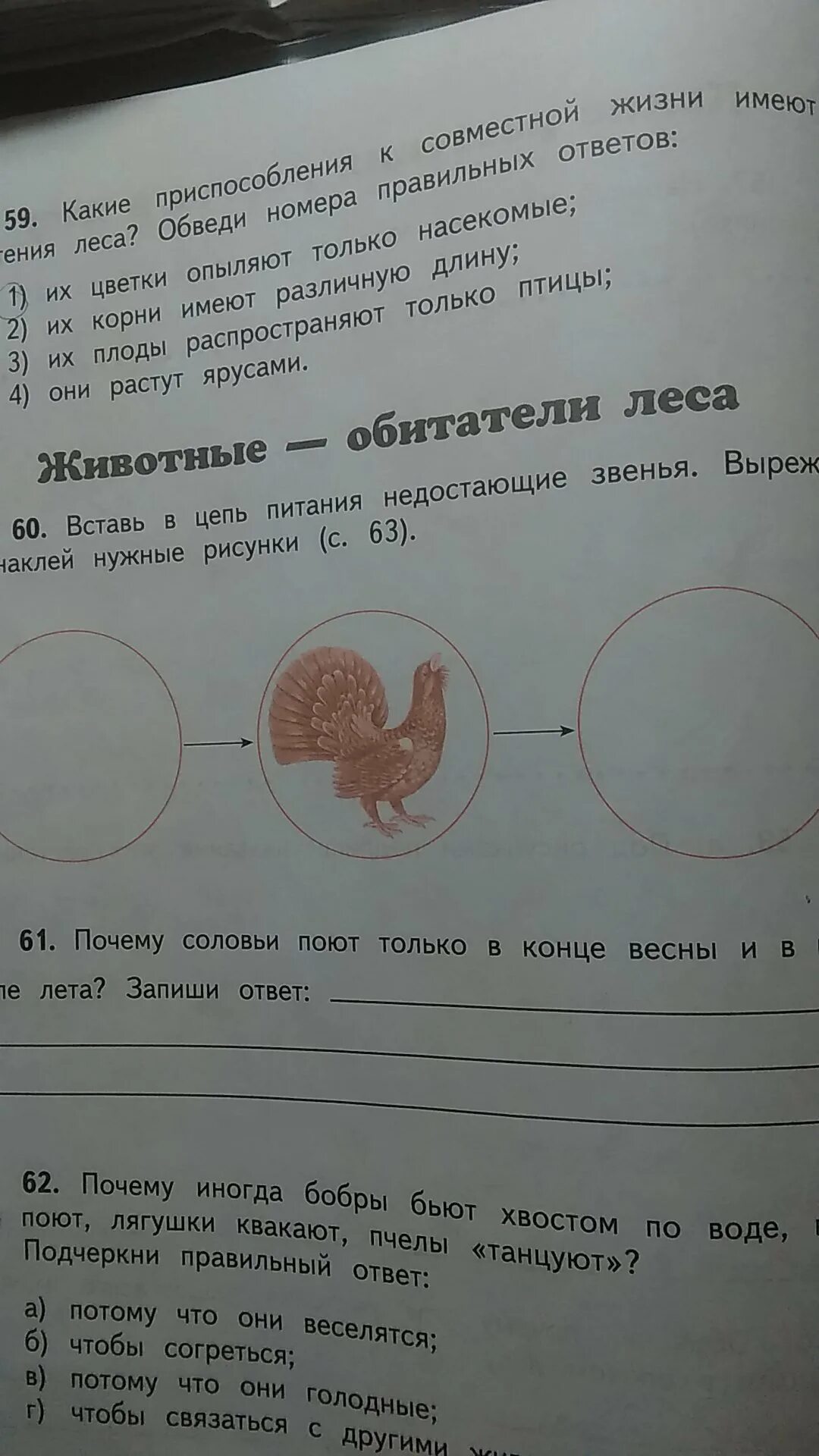 Цепи питания недостающие звенья. Цепи питания недостающие звенья