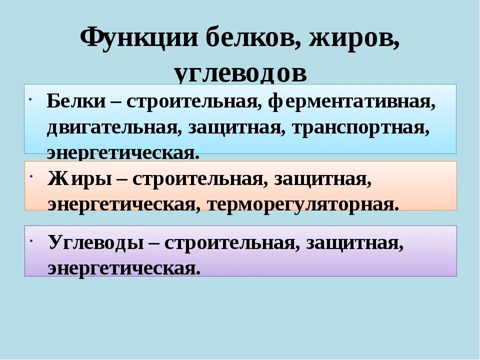 Какие функции белков жиров и углеводов