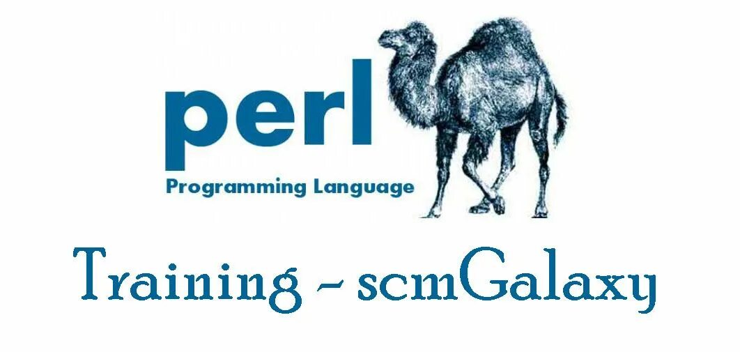 Perl use. Perl язык программирования. perl логотип. perl programming language. perl logo язык программирования.