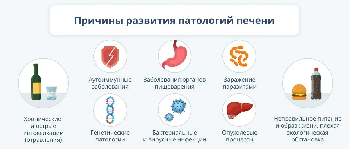 Колит печень. Почему может колоть печень.