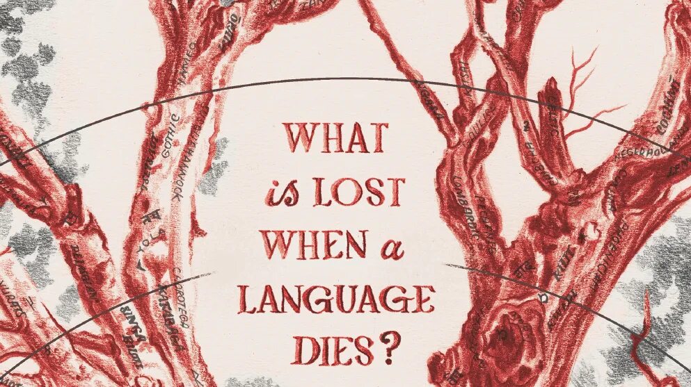Dying language. Эстетика диалектизмов. dialect words картинка. картинка на тему language and dialect. картинка лангуаге.