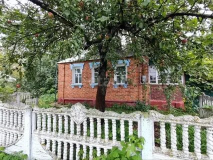 Погода илек пеньковка белгородская