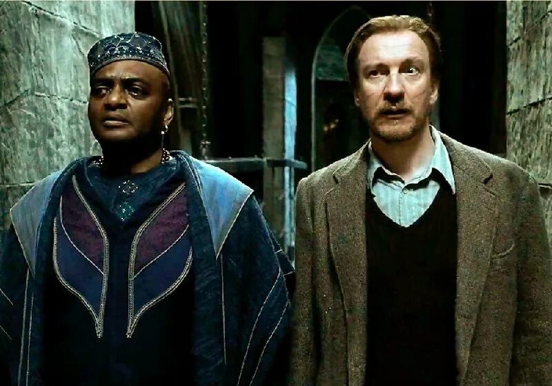 Римус люпин дары смерти. Дэвид тьюлис гарри. Лишь качество чьих-либо убеждений определяет. Римус люпин-всеволод кузнецов. Не число последователей определяет успех.