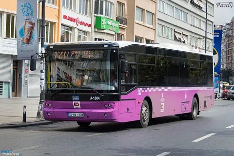 250 автобус спб