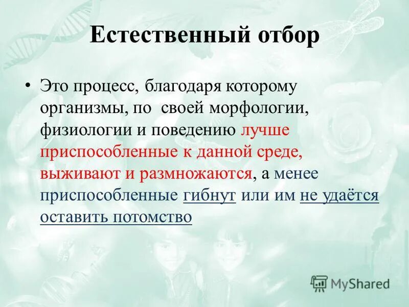 Реальность естественного отбора