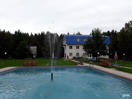 Зеленая поляна отдых