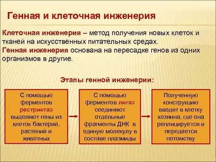 Отличие генной инженерии от клеточной