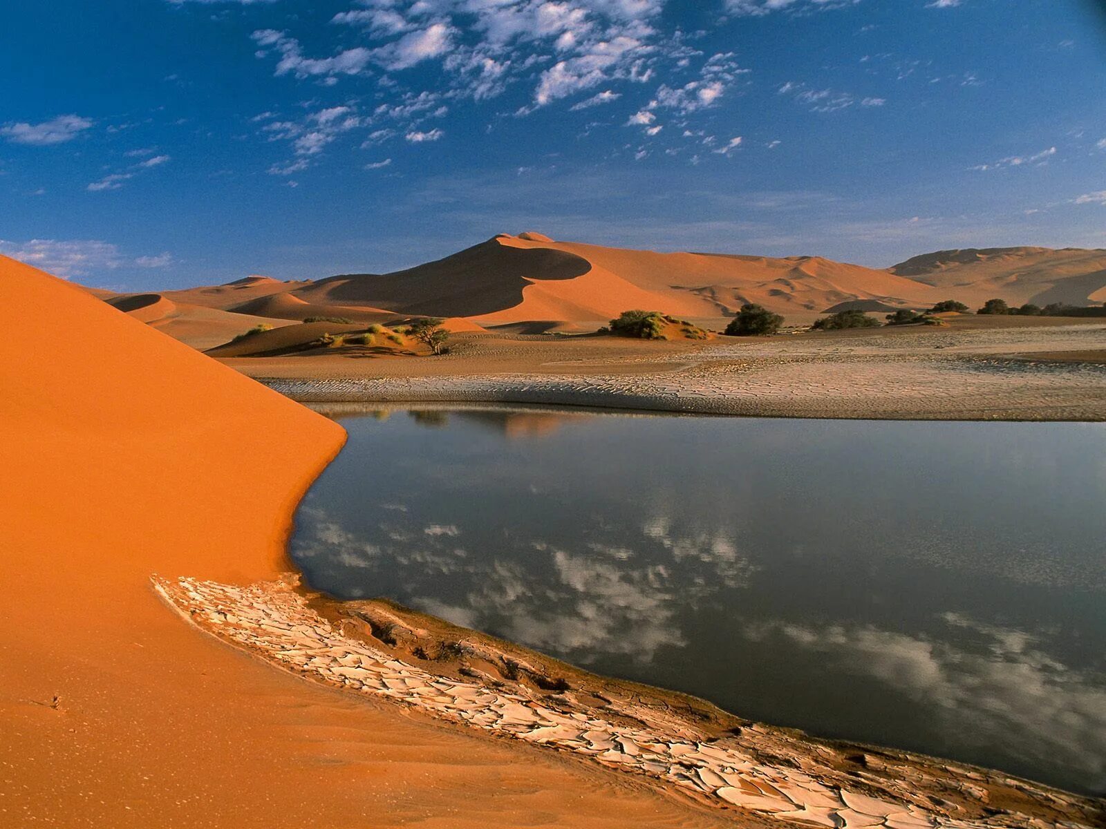Где в пустыне вода