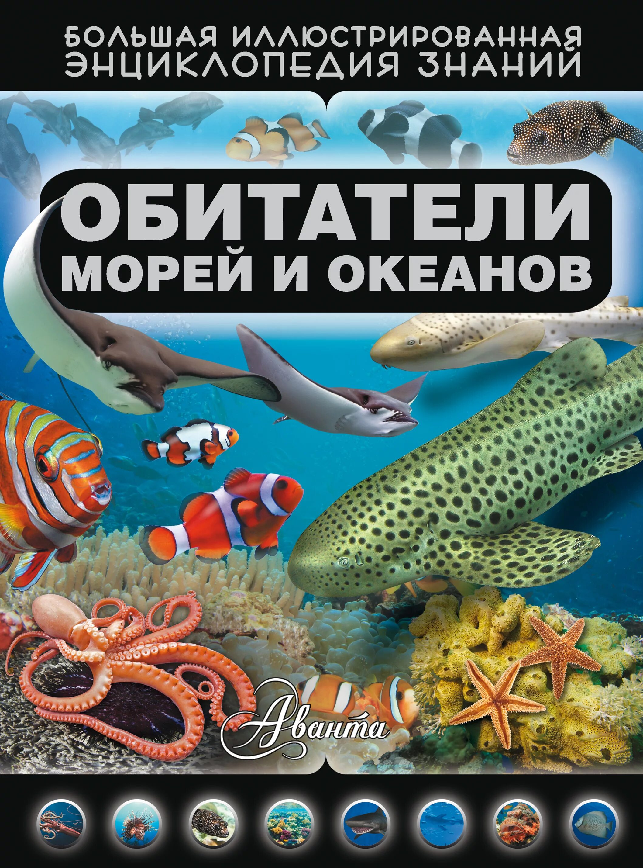 Д В Кошевар жители морей и океанов. Обитатели морей и океанов. Книга морские обитатели. Обитатели морей и океанов книга.