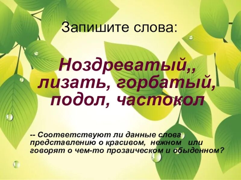 Ноздреватый как пишется. Значение слова ноздреватой. Красивые слова для представления 1 класса для презентации. Корень слова ноздреватым. Не нужно представлений текст