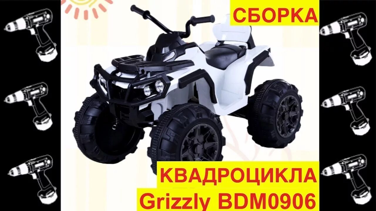 Медведь гризли нападение. Медведь в лагере. Как собрать гризли. Как собрать гризли. Как собрать гризли.