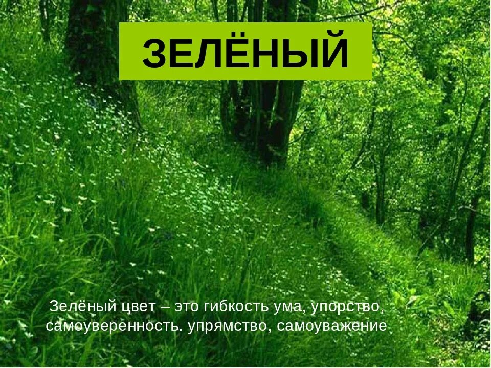 Зеленый цвет в психологии. Что означает зеленый цвет. Зелёный цвет значение цвета. Что означает зеленыйсцвет.