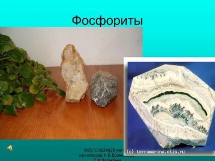 Фосфорит горючий