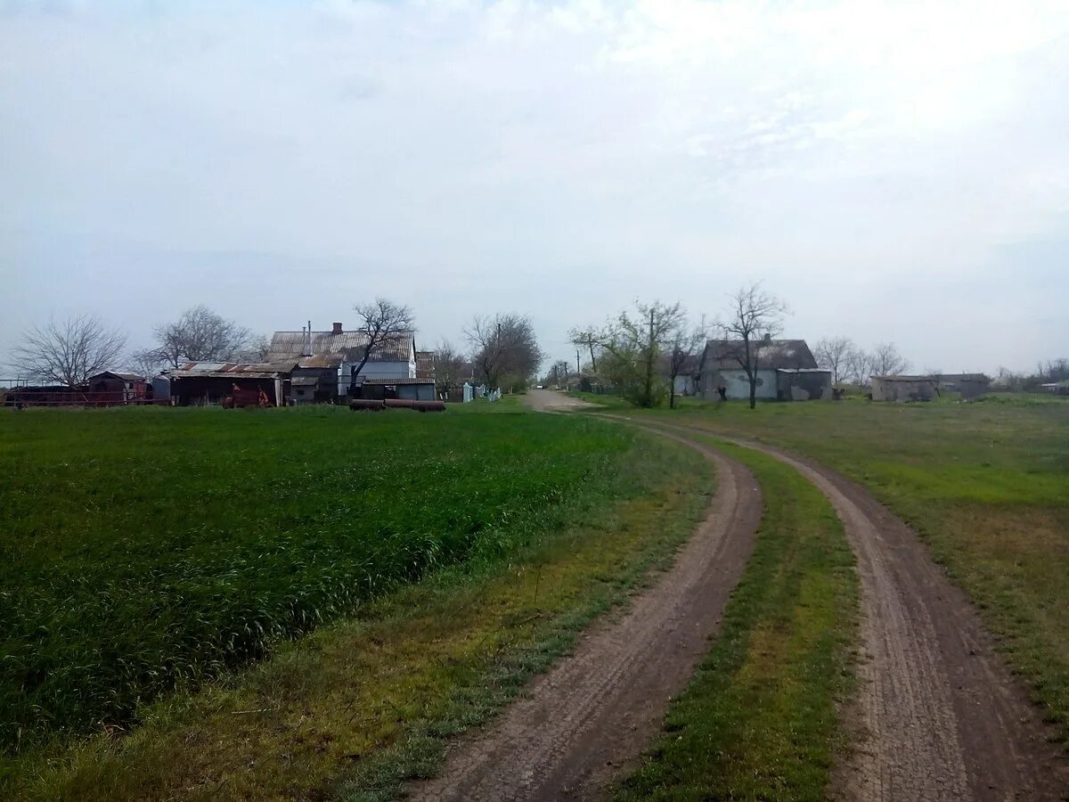 Село заря донецкая область. Одесская область село заря фото. Село зоря. Село заря донецкая область. Село зоря.