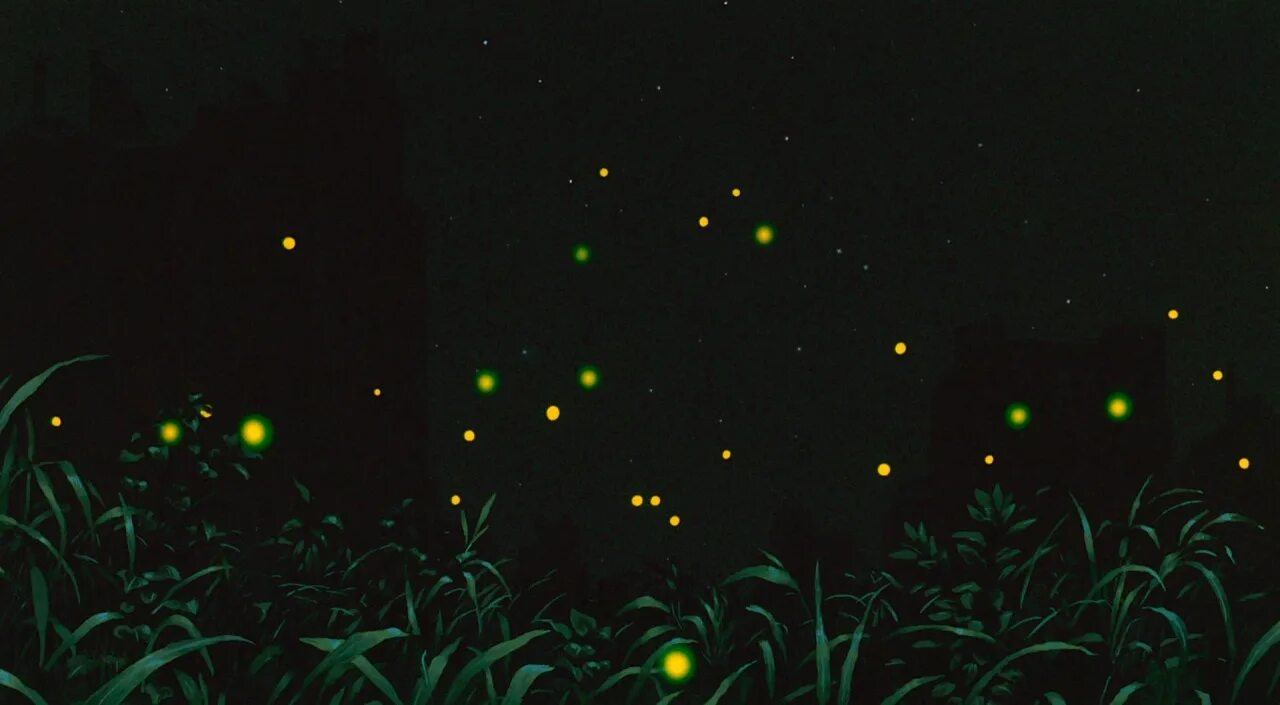 Биолюминесценция светлячков. Летающие светлячки. Светлячок насекомое. Светлячки gif. Свадьба светлячков 32
