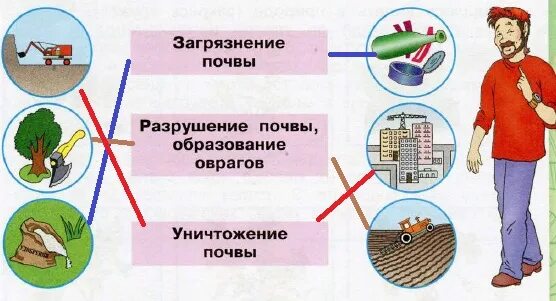 Запиши основные сведения о почвах вашего края. Знаки защиты почвы. Земля кормилица 4 класс окружающий мир. Запишите основные сведения о почвах вашего края. Папа сережи работает