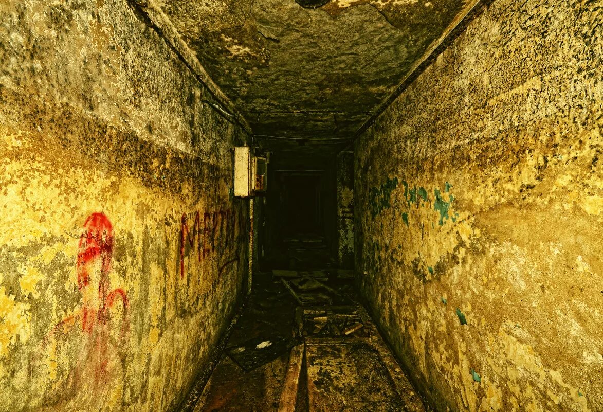 Страшный бункер. Сталкер бункер ученых внутри. Игра бункер 56. Амнезия бункер арсенал. Квест заброшенная лаборатория.