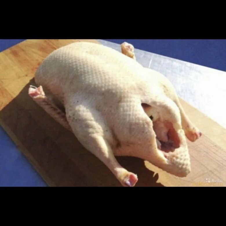 Порода утки муларды. Инкубационное яйцо индоутки. Сорт утки муларды. Сколько стоят утиные. Индоутка с утятами.