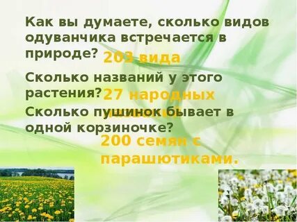Сравни рассказ пришвина золотой луг и стихотворение
