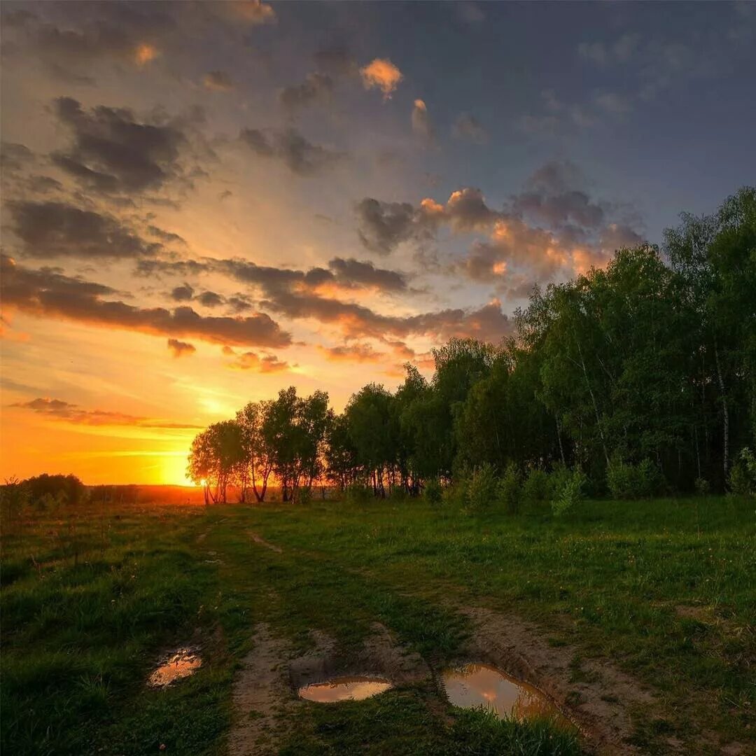 Летний вечер размер. Вечерняя русская природа. Летний закат в лесу. Природа России вечер. Природа России закат.