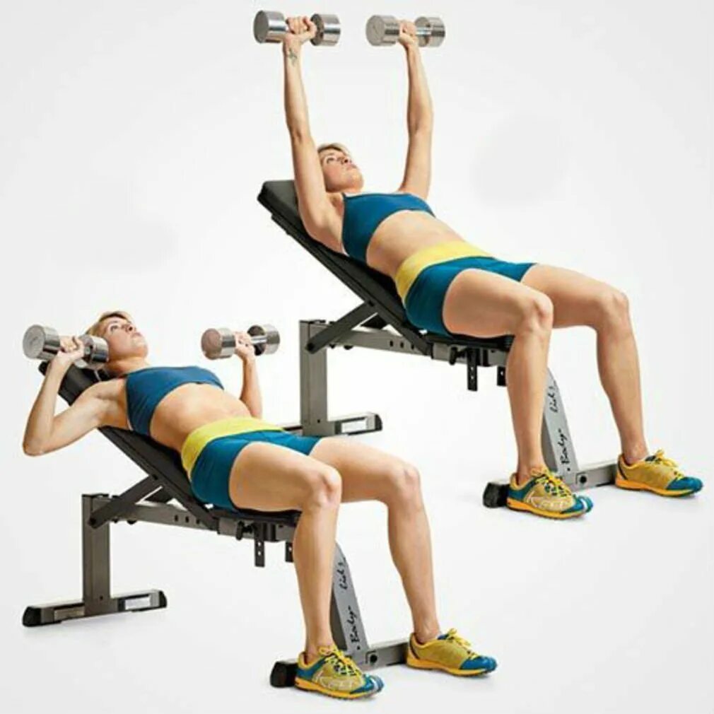 Db press