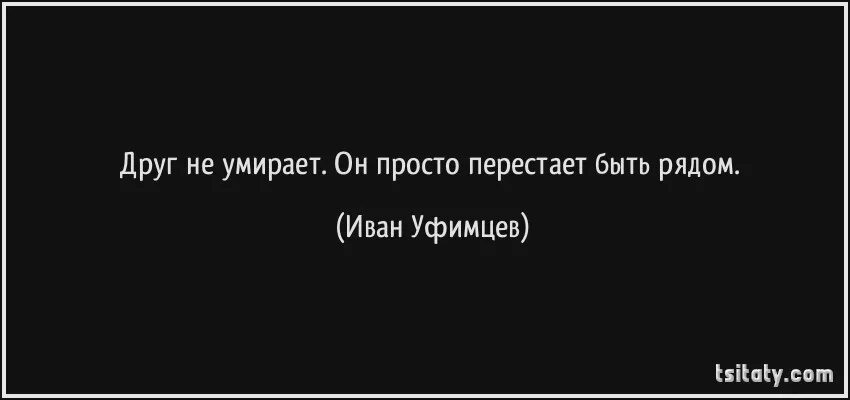 Пословица простота хуже. Доброта хуже воровства пословица. Доброта хуже воровства смысл. Поговорка доброта хуже воровства смысл. Доброта хуже воровства цитаты.