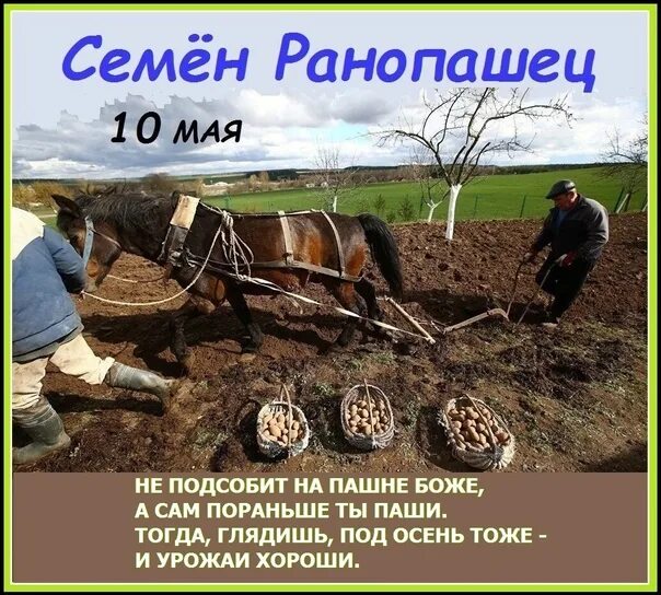 Семён Ранопашец праздник. Работа 1 10 мая