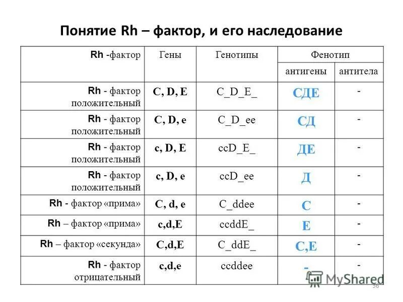 Группа крови резус фактор фенотип