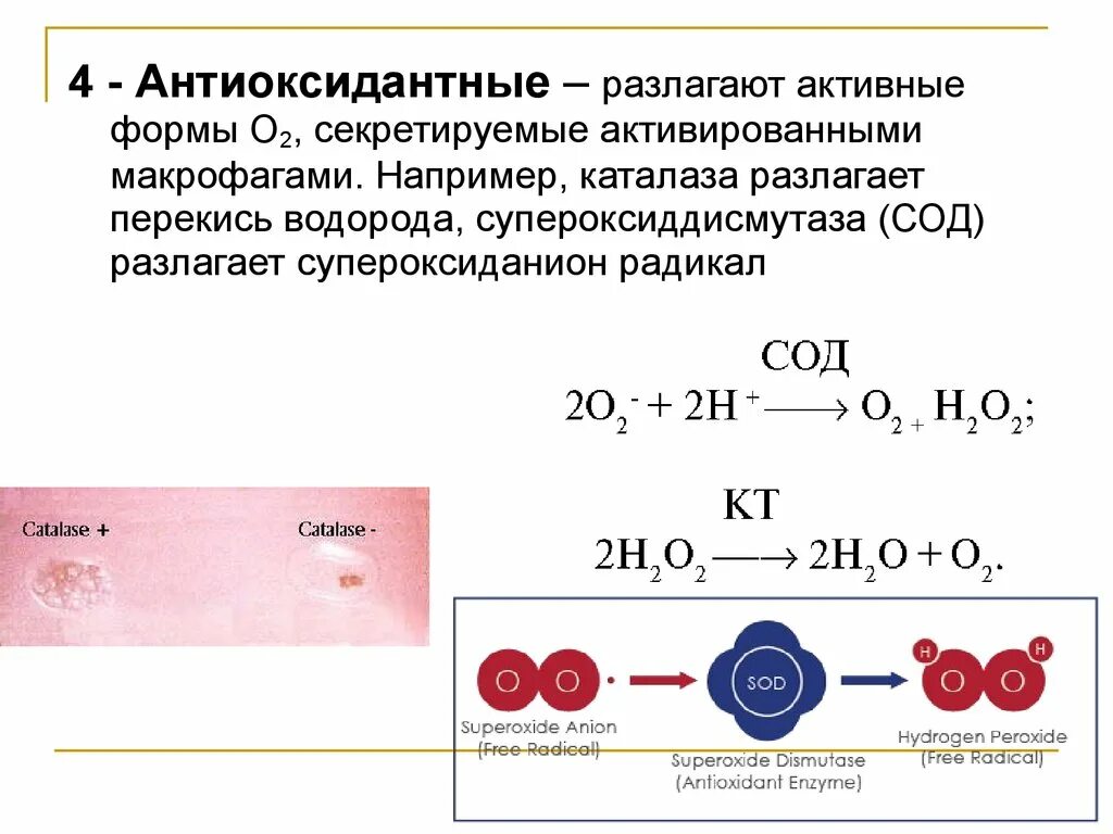 Перекись водорода и кислота реакция