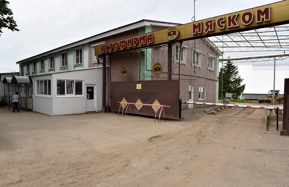Карбышева 110 волжский. Агрофирма багратионовская. Фото агрофирмы. Ао агрофирма патруши. Молочная ферма «дмитрова гора».