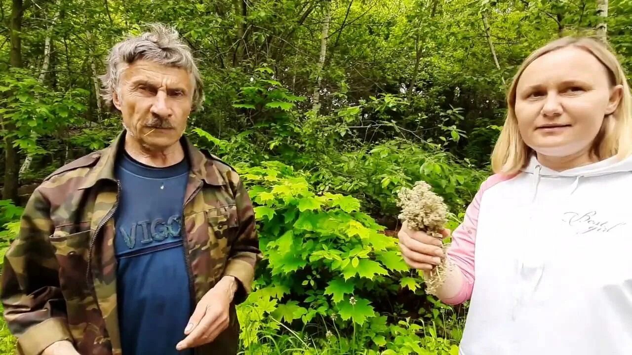 Быть добру света молодцова последнее видео дзен. Быть добру света молодцова последнее видео дзен