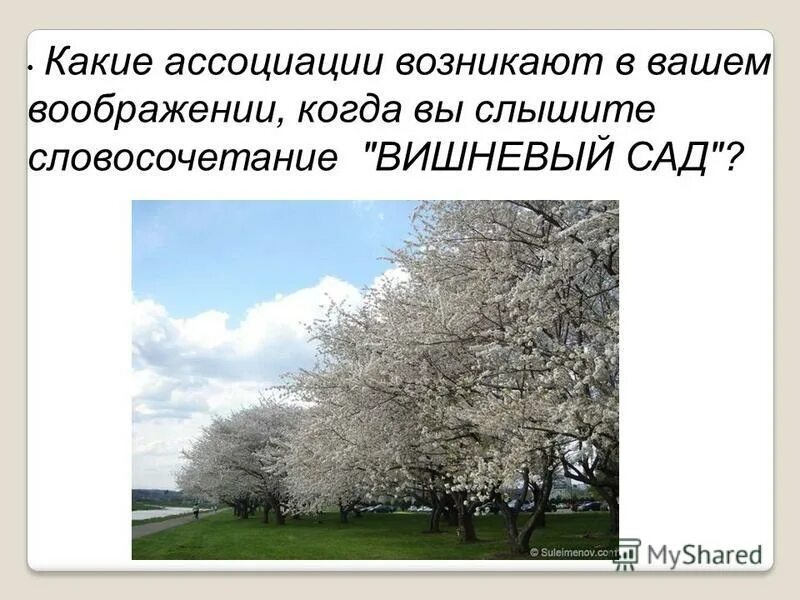 Символический образ вишневого сада. Завязка вишневый сад. Сочинение вишневый сад. Символы в пьесе вишневый сад. Вишнёвый сад чехов композиция.