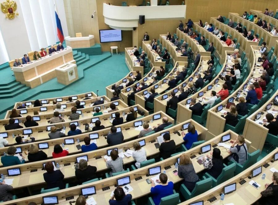 Парламент Госдума и совет Федерации. Парламент РФ. Палаты парламента РФ. Парламент 1995 РФ. Russian parliament