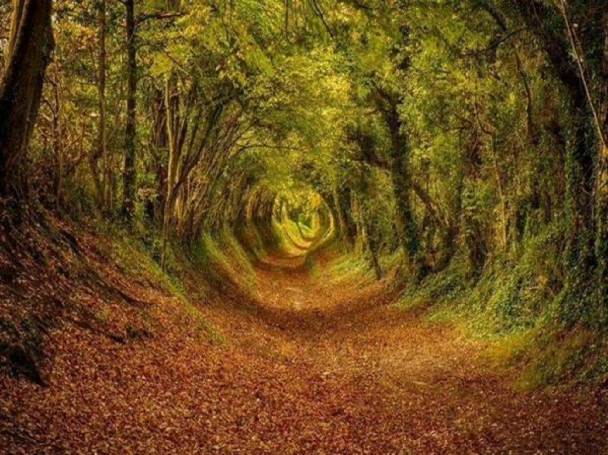 Path to image