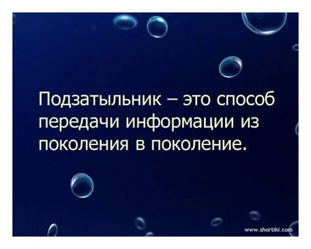 Подзатыльник 5 букв. Подзатыльник это способ передачи. Подзатыльник это способ передачи информации из поколения в поколение. Подзатыльник способ передачи информации. Ничто так не деморализует противника, как Шотландские парашютисты.