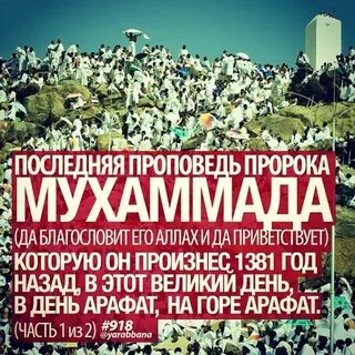 День арафата в 2024 году какого числа