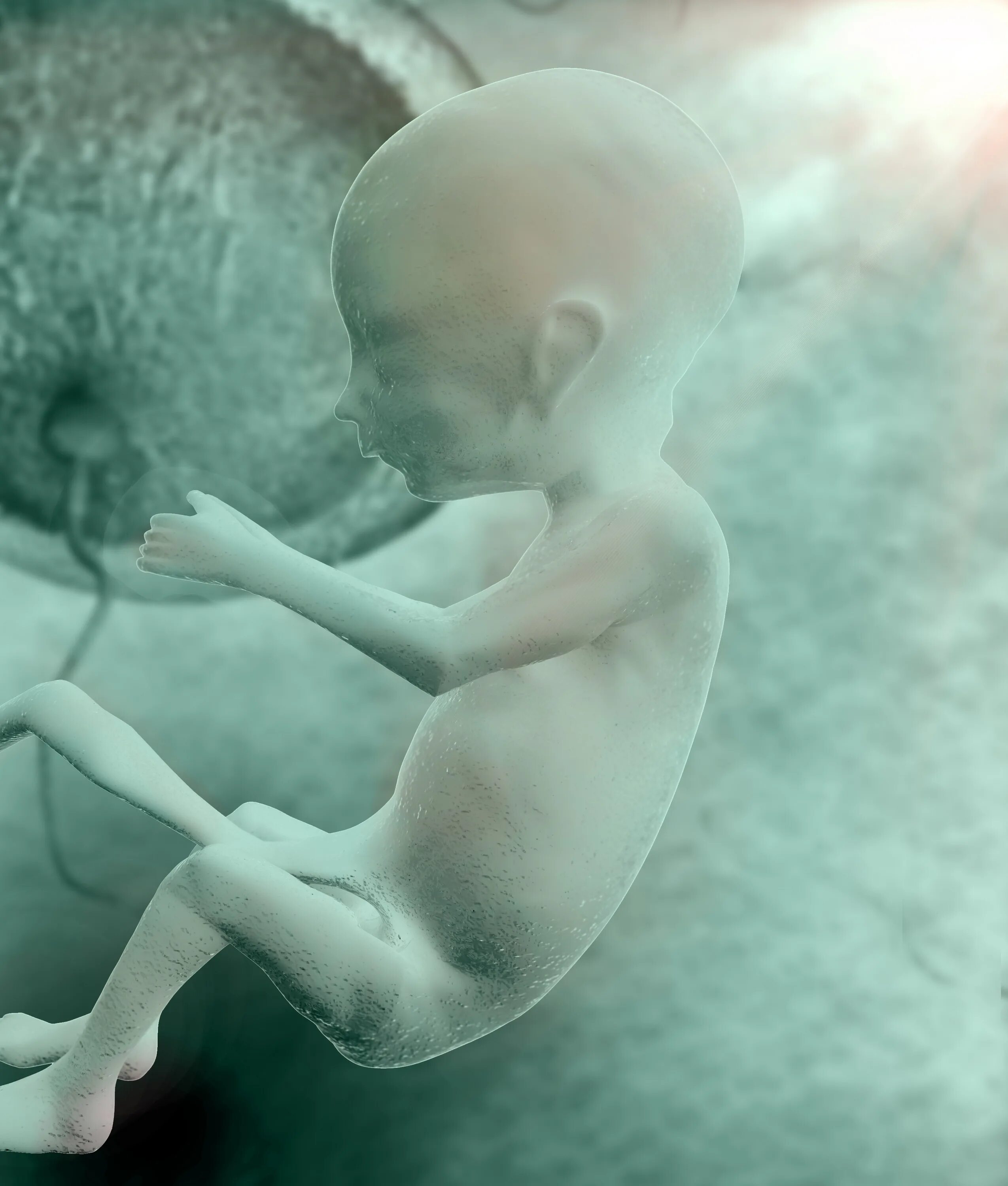 курящая беременная женщина. как дышит ребенок в утробе. ребенок задохнулся в утробе. ребенок задохнулся в утробе. ребенок задохнулся в утробе.