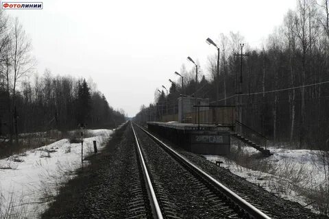 Шаховская тверская область