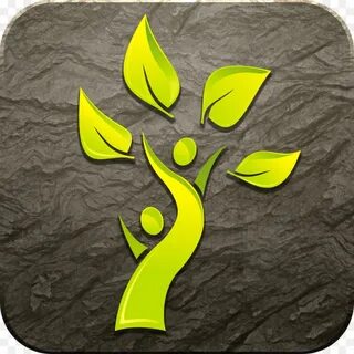 Other leaf