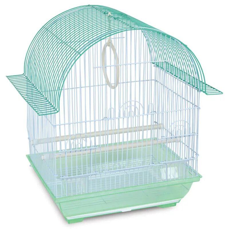 Мм клетка. Клетка для грызунов inter-zoo rex 2 g122w (58*38*34). Клетка триол 5000 для птиц. Мм клетка. Triol клетка 3116 для птиц, эмаль, 345*280*500мм.