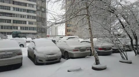 Следить за снегом